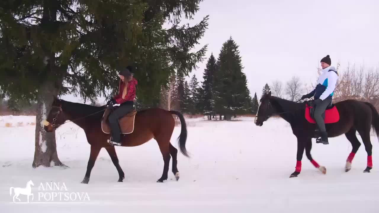 Конная прогулка на лошадях для двоих. Верховая езда во Владивостоке